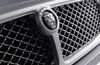 2009 Jaguar XJ8 Grille Picture